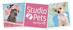 Studio Pets    Hatber     !