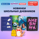 САМСОН LIVE: новинки школьных дневников! САМСОН LIVE: новинки школьных дневников!