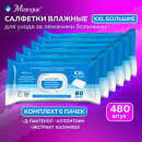 Салфетки влажные для интимной гигиены МЕЛОДИЯ, комплект 6 пачек Салфетки влажные для интимной гигиены МЕЛОДИЯ, комплект 6 пачек