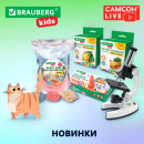  LIVE:      BRAUBERG KIDS