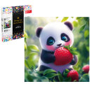   (  ),  , 20x20 ,  : , 22  ,  
