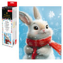   (  ),  , 20x25 ,  : , 25  ,    