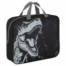      BRAUBERG ″Scary dino″