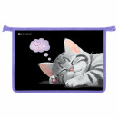 Папка для труда на молнии BRAUBERG ″Sleeping kitten″ Папка для труда на молнии BRAUBERG ″Sleeping kitten″