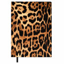   ESCALADA,  6+, 160 .,  ,  ,   ″″