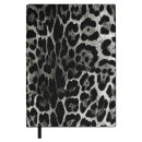   ESCALADA,  6+, 160 .,  ,  ,   ″″