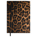   ESCALADA,  6+, 160 .,  ,  ,   ″″