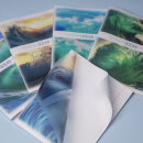  Ocean       Hatber:  !