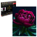 Алмазная мозаика с частичной выкладкой (набор для творчества), ПИОН, 40*50 см, форма страз: круглая, 5 цветов страз, картонная коробка с ручкой Алмазная мозаика с частичной выкладкой (набор для творчества), ПИОН, 40*50 см, форма страз: круглая, 5 цветов страз, картонная коробка с ручкой