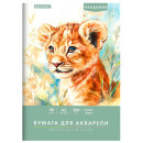    BRAUBERG , ″″,  3