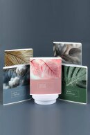 , 5+, 48 , . - ,   (2 )