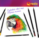 Рисуем с Qredo. Набор из 48 цветных карандашей. Рисуем с Qredo. Набор из 48 цветных карандашей.