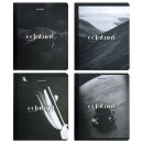 ������� BRAUBERG, ″Simplicity″, 96 ������