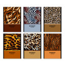 ������������ ���� ����� ������� � �� ������