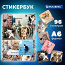 Стикербук BRAUBERG, ″Коты мемы″ Стикербук BRAUBERG, ″Коты мемы″