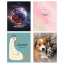 ������� 5-11 ����� BRAUBERG, ″����″