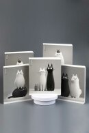 �������, �5+, 48 �, ��.���� - ������, ���������� ��-���, ������ ������� (2 �����)