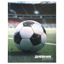 Дневник 1-4 класс ЮНЛАНДИЯ ″Футбол″ Дневник 1-4 класс ЮНЛАНДИЯ ″Футбол″