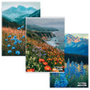 ������� STAFF, �4 ″�������″, ������