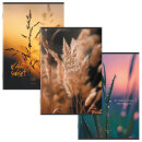 ������� �4 80 �. STAFF ″College″ ��������