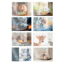 ������ ��� ��������� BRAUBERG, �������-1