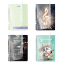 ������� ��� ����������� ����� BRAUBERG