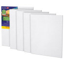 ������ �� ������� (25�30 ��), ������, 280 �/�2, �����, BRAUBERG ART CLASSIC, 5 ����