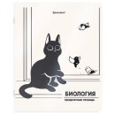 ������� ���������� �������� ���-�������� BRAUBERG