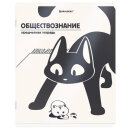 ������� ���������� �������������� ���-�������� BRAUBERG