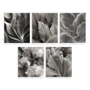 Тетрадь, А5+, 96 л, вн.блок - клетка, мягкий переплёт (2 скобы) Тетрадь, А5+, 96 л, вн.блок - клетка, мягкий переплёт (2 скобы)