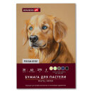 ������ ��� ������� �3, � �����, BRAUBERG ART, 20 ������, 5 ������