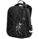 ����� BRAUBERG SHINY, ″������� ����″