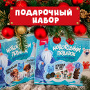 Подарочный набор ″Новогодний подарок 5в1″ Подарочный набор ″Новогодний подарок 5в1″
