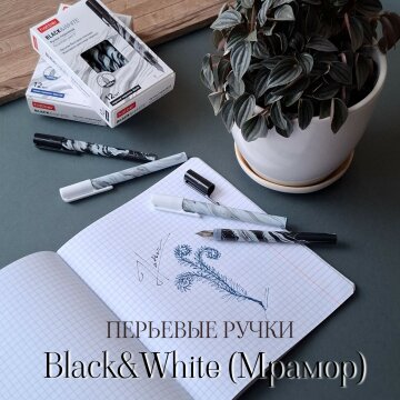 Black&White (Мрамор). Перьевые ручки от Hatber! Black&White (Мрамор). Перьевые ручки от Hatber!