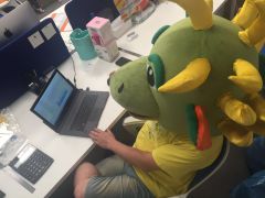 Обновление шоу-рума в Dragon Gifts! Обновление шоу-рума в Dragon Gifts!