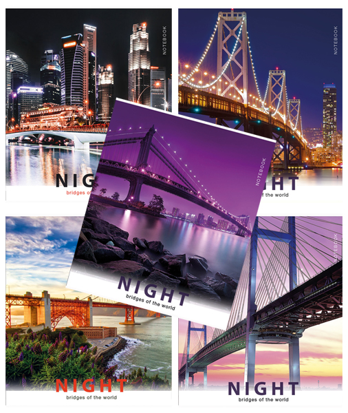 �������� ��� &laquo;���������&raquo; ���������� ������������� � �������� &laquo;Night bridges&raquo;