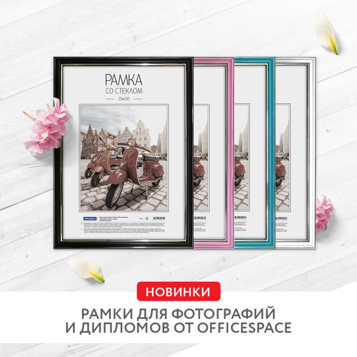 OfficeSpace выпустила серию новых стильных пластиковых рамок OfficeSpace выпустила серию новых стильных пластиковых рамок