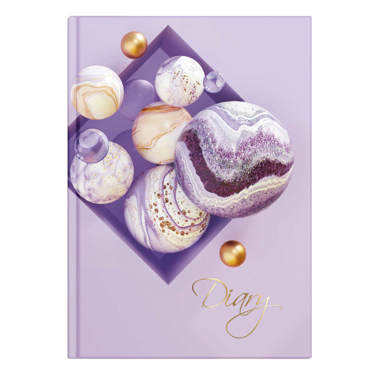 ���������� �������������� DIARY