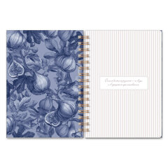 ����� ��� ������ ���������� �������� ���. 73725 ����� /�5, 60 �. ������� - ���������� ������ 190 �/�², ������� ����������, ��.���� - ����� �����, 120 �/�², ������� �� ������� �������,