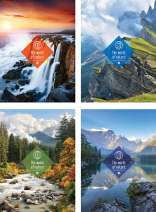 Блокноты ″The world of nature″: застывшая красота Блокноты ″The world of nature″: застывшая красота