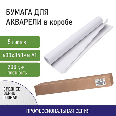 ������ ��� �������� BRAUBERG