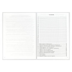 Классный журнал 5-9 класс, А4, ФЕНИКС+ Классный журнал 5-9 класс, А4, ФЕНИКС+
