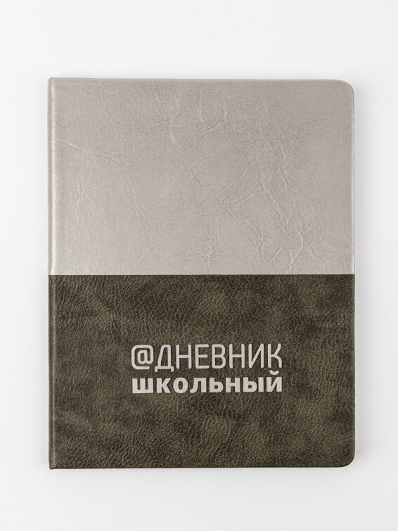 Дневник школьный «ПЛАТИНА» (арт. 110165) от Alpha-Trend Дневник школьный «ПЛАТИНА» (арт. 110165) от Alpha-Trend