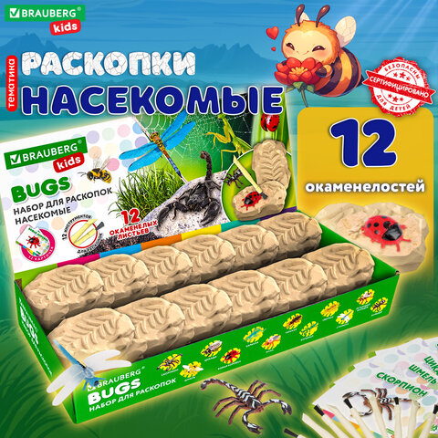 Набор для раскопок ″Насекомые″, BRAUBERG KIDS Набор для раскопок ″Насекомые″, BRAUBERG KIDS