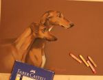 Faber-Castell ���� �������! ������ ��������!
