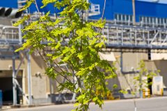 ��������� Tork �� �������� PIR EXPO 2019