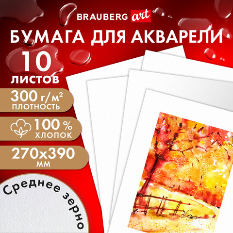 ������ ��� �������� BRAUBERG ART, 300 ��, ������