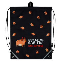 �����-������ ��� ����� ������+, 36�48 ��, ���������, 1 ��������� (-�), �������������� ������