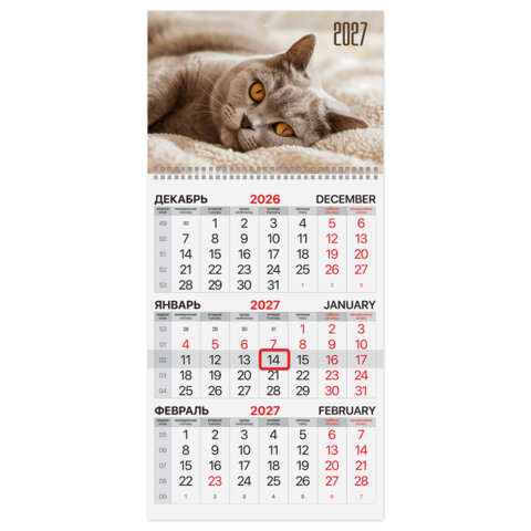 Календарь квартальный на 2027 г.,BRAUBERG, ″Котик″ Календарь квартальный на 2027 г.,BRAUBERG, ″Котик″