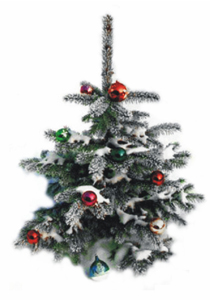С НОВЫМ ГОДОМ! С НОВЫМ ГОДОМ!